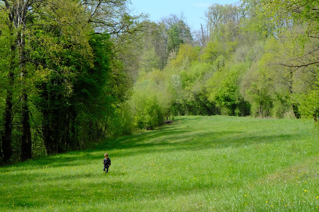 Kleines Kind spaziert über eine Wiese am Waldrand