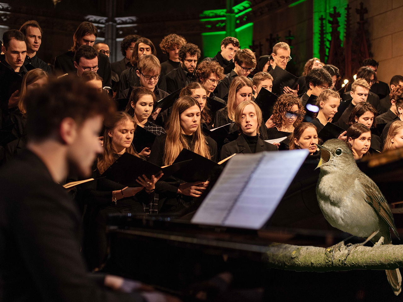 Grosser Chor mit einer Nachtigall